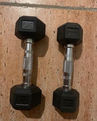 Manubri hex palestra
