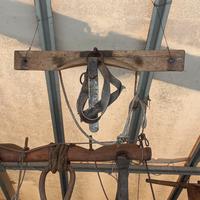 Antico Giogo Bestiame Piccolo Civiltà Contadina