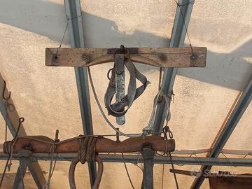 Antico Giogo Bestiame Piccolo Civiltà Contadina