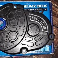 Minarelli Polini Evolution Malossi mhr team 