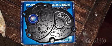 Minarelli Polini Evolution Malossi mhr team 