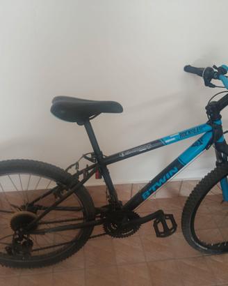 bicicletta Mountain bike