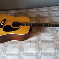 Chitarra acustica Morris W602