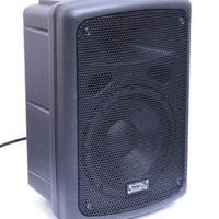 Casse attive Soundking FP208-1A