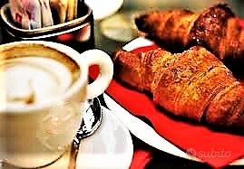 Teorema Aziende BAR CAFFETTERIA MONDOVI (CN)