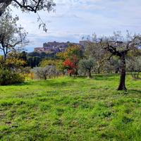 Terreno edificabile a Lugnano in Teverina