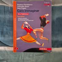 Caro Immaginar, Narrativa