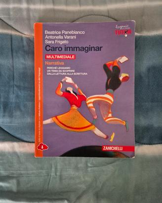 Caro Immaginar, Narrativa