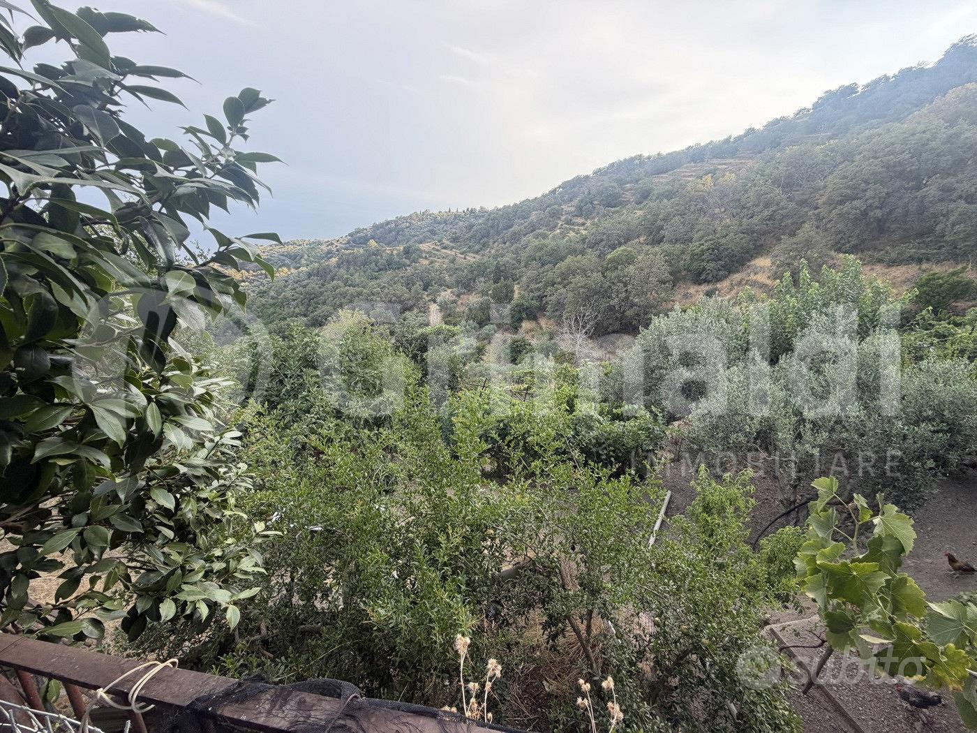 Terreno Agricolo Alì [0681-103VCG] - Vista 4