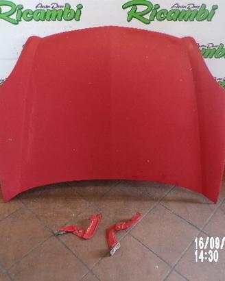 COFANO CON CERNIERE PER RENAULT KANGOO 2005