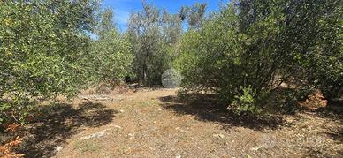 TER. RESIDENZIALE A SASSARI