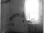 Immagine 10