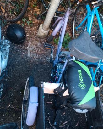 Triciclo elettrico ebike 2 posti + vano trasporto