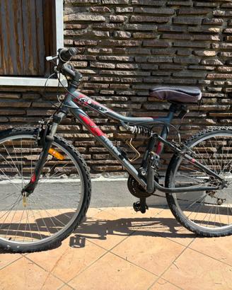 Rockrider 5.0