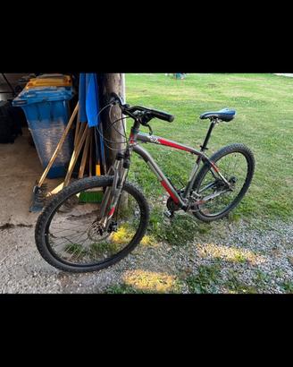 Bici Mtb