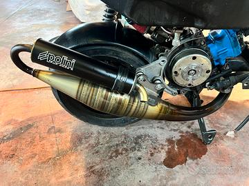 marmitta polini for race 5