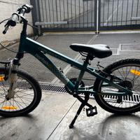 Bici bimbo taglia 20