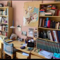 Libreria e scrivania