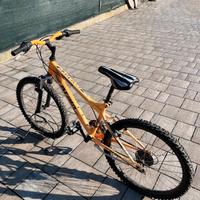 Atala bambio-bambina 8-13 anni