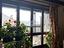 Immagine 9
