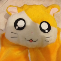 Pokemon hamtaro vestito carnevale Halloween