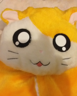 Pokemon hamtaro vestito carnevale Halloween