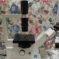 ZEISS INVERTOSCOPIO AXIOVERT TELEVAL31