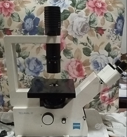 ZEISS INVERTOSCOPIO AXIOVERT TELEVAL31