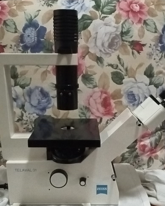 ZEISS INVERTOSCOPIO AXIOVERT TELEVAL31