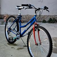 bici mtb 26 pollici