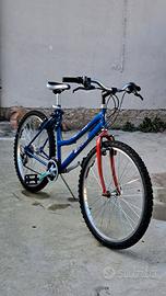 bici mtb 26 pollici