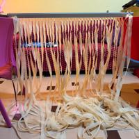 Tenda a fettucce anti-mosche/insetti