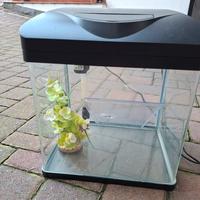 Acquario 5 lt