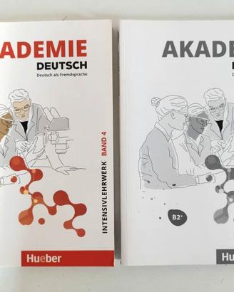Akademie Deutsch B2+