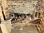 Immagine 1