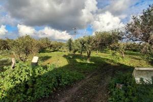 Tribunale di Marsala - RG 152/2024 Terreno in asta
