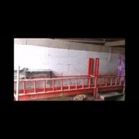 Capre Capretti Pecore Agnelli 