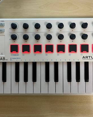 Arturia MiniLab MkII - Tastiera controller 25
