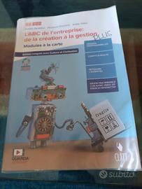 L'ABC de l'enterprice: de la creation a la gestion