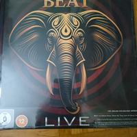 3 CD Beat  più blu ray  . Art book
