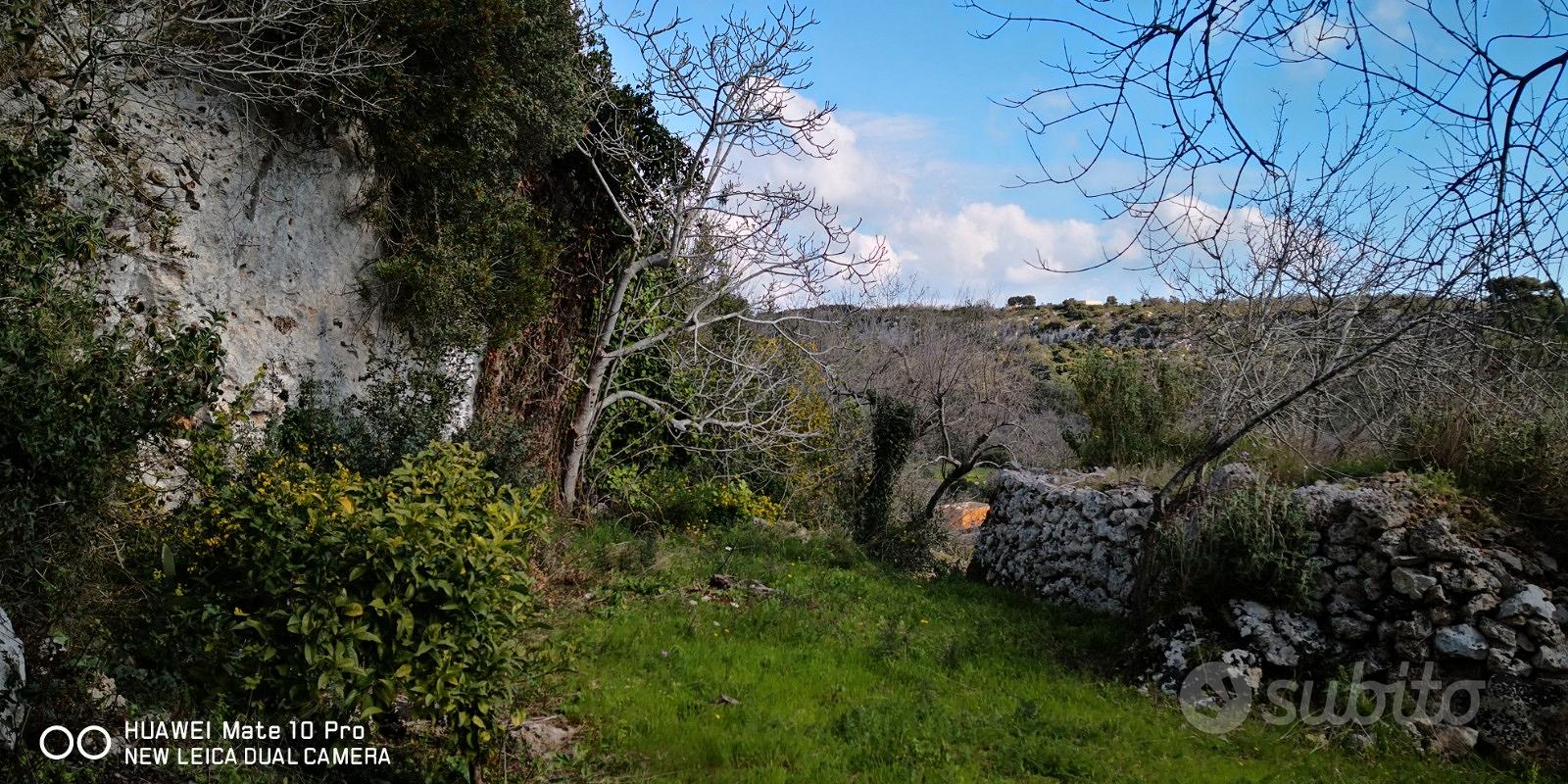 Terreno e pajara - Altro