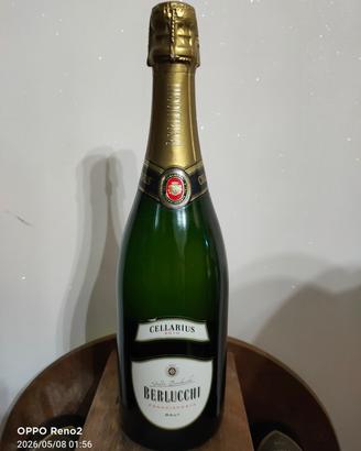 Berlucchi Cellarius Franciacorta Brut 2010  Collez