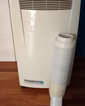 Pinguino De’Longhi NF65 Perfettamente funzionante