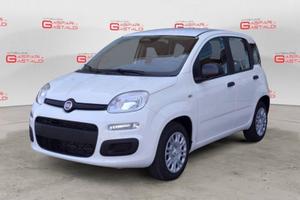 FIAT Panda 1.0 FireFly S&S Hybrid PACK CITY 5P
