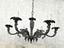 Immagine 1