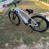 Bici Pedalata assistita 