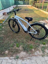 Bici Pedalata assistita 