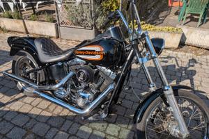 Harley Davidson Softail Custom 1584