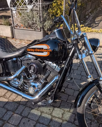 Harley Davidson Softail Custom 1584
