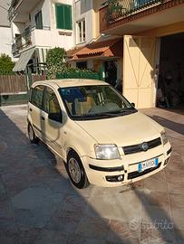 Panda 1.2 Dynamic 
